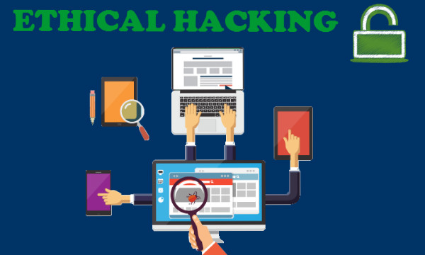 ethical hacking online course